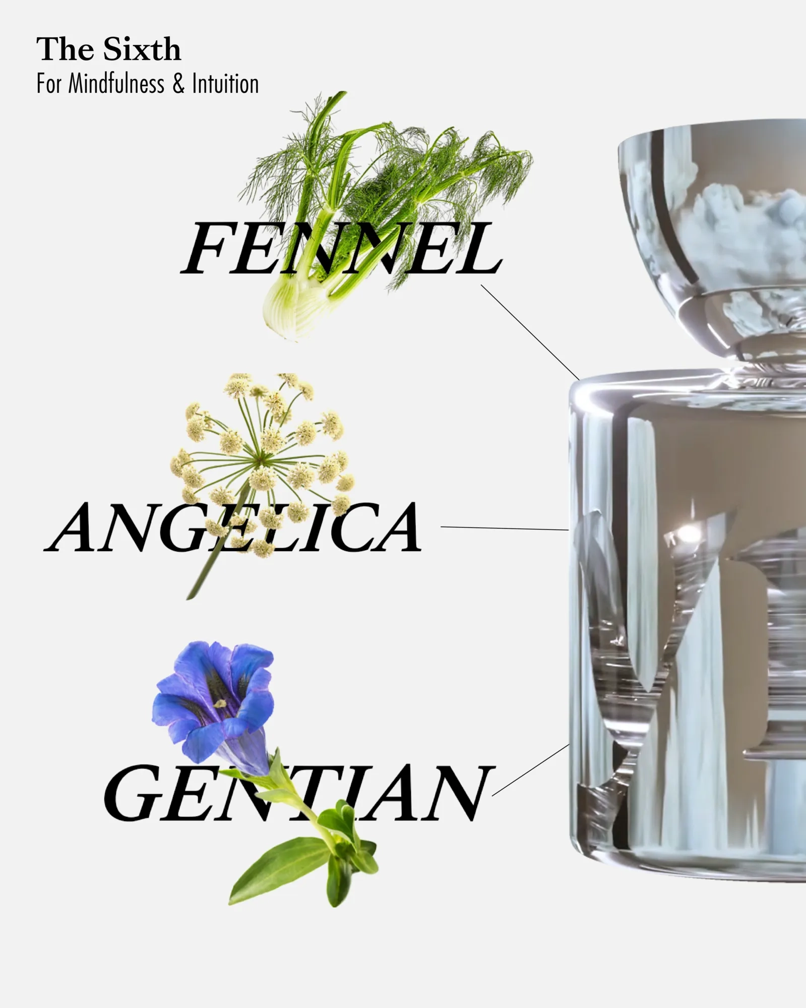 Vyrao The Sixth Eau De Parfum | MECCA