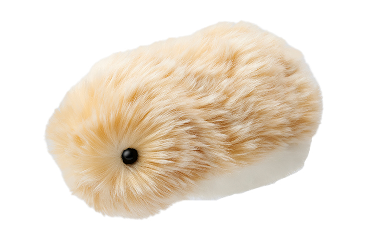 CASIO AIペット Moflin（モフリン） ゴールド｜ kikito[キキト