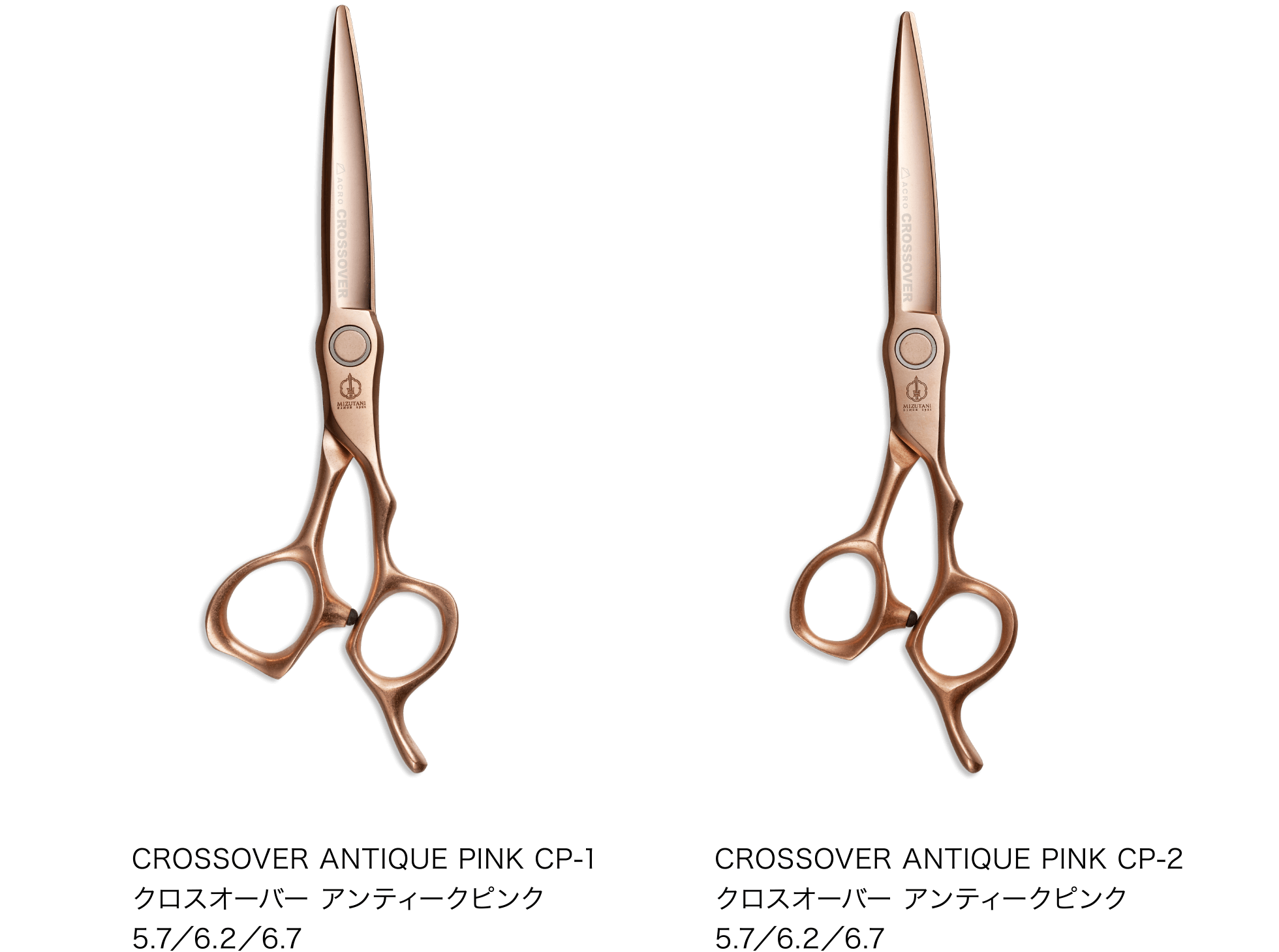 特集 新製品 2025 | ミズタニシザーズ