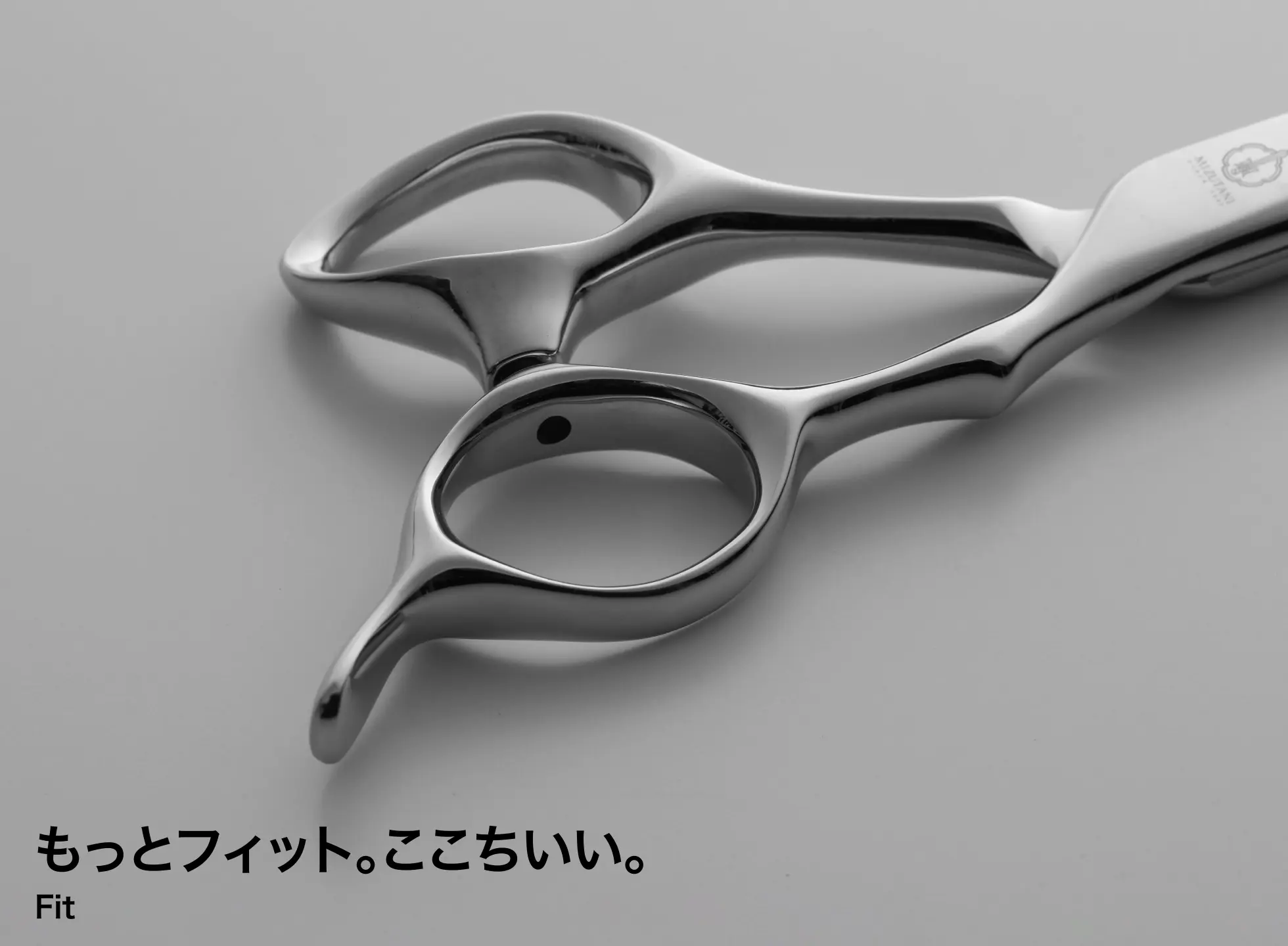 特集 シザーフェア 2025 | ミズタニシザーズ