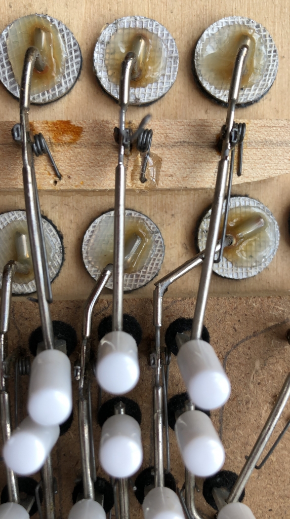 HOHNER 48ボタン イングリッシュ・コンサーティーナ ソプラノ(Riveted