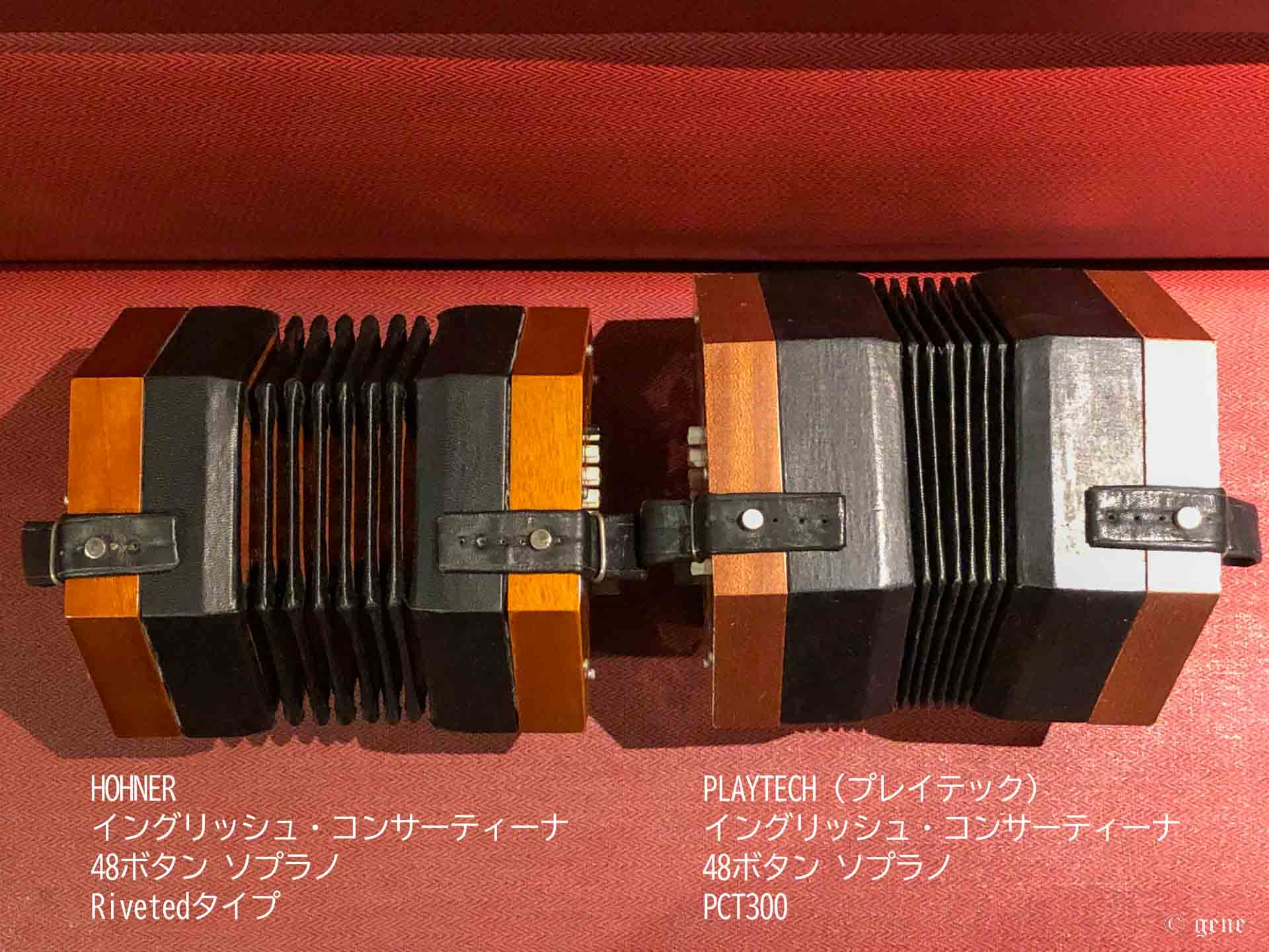 PLAYTECH（プレイテック）イングリッシュ・コンサーティーナ 48ボタン