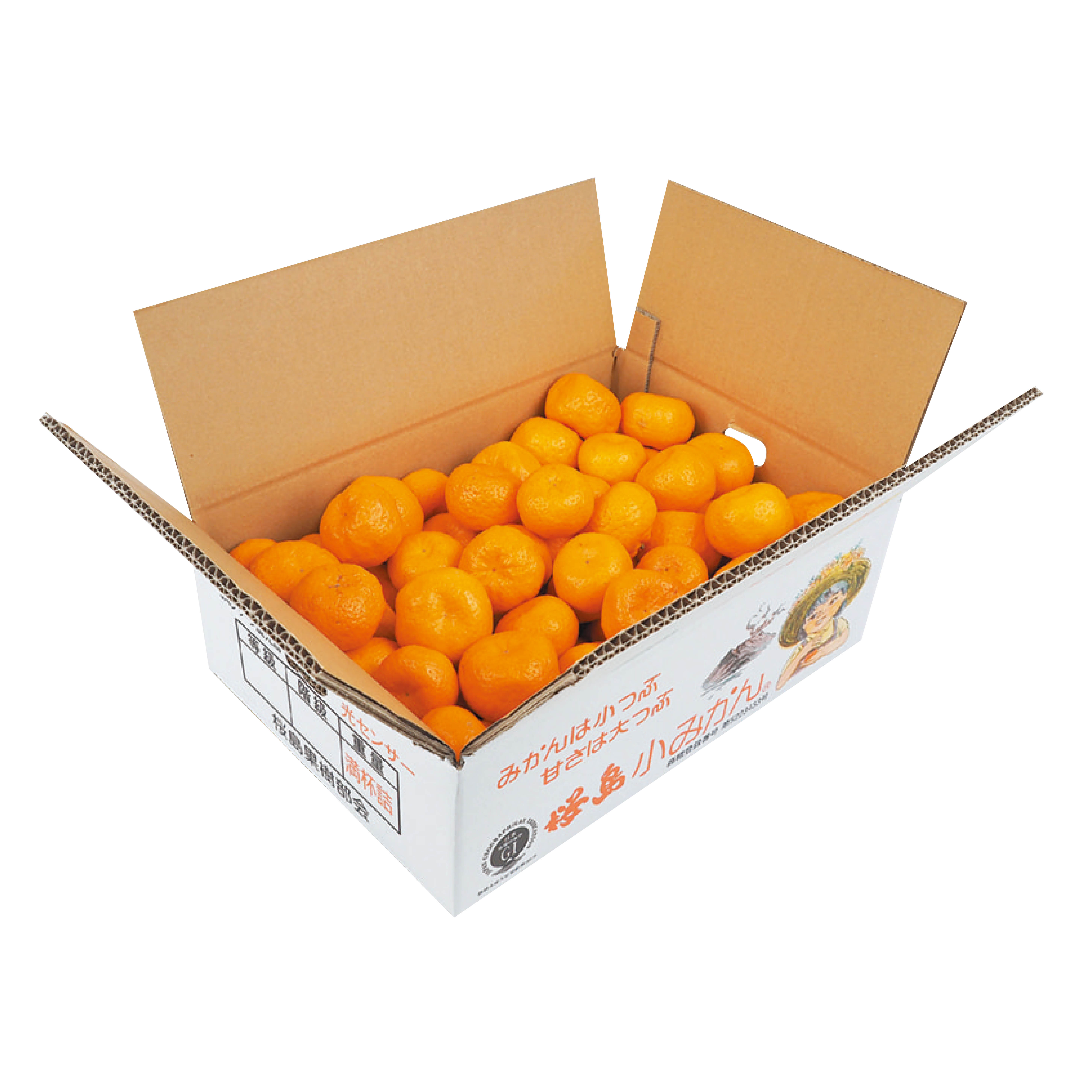 桜島小みかん 4kgDB / 鹿児島特産品の通販・お取り寄せなら鹿児島ここまる