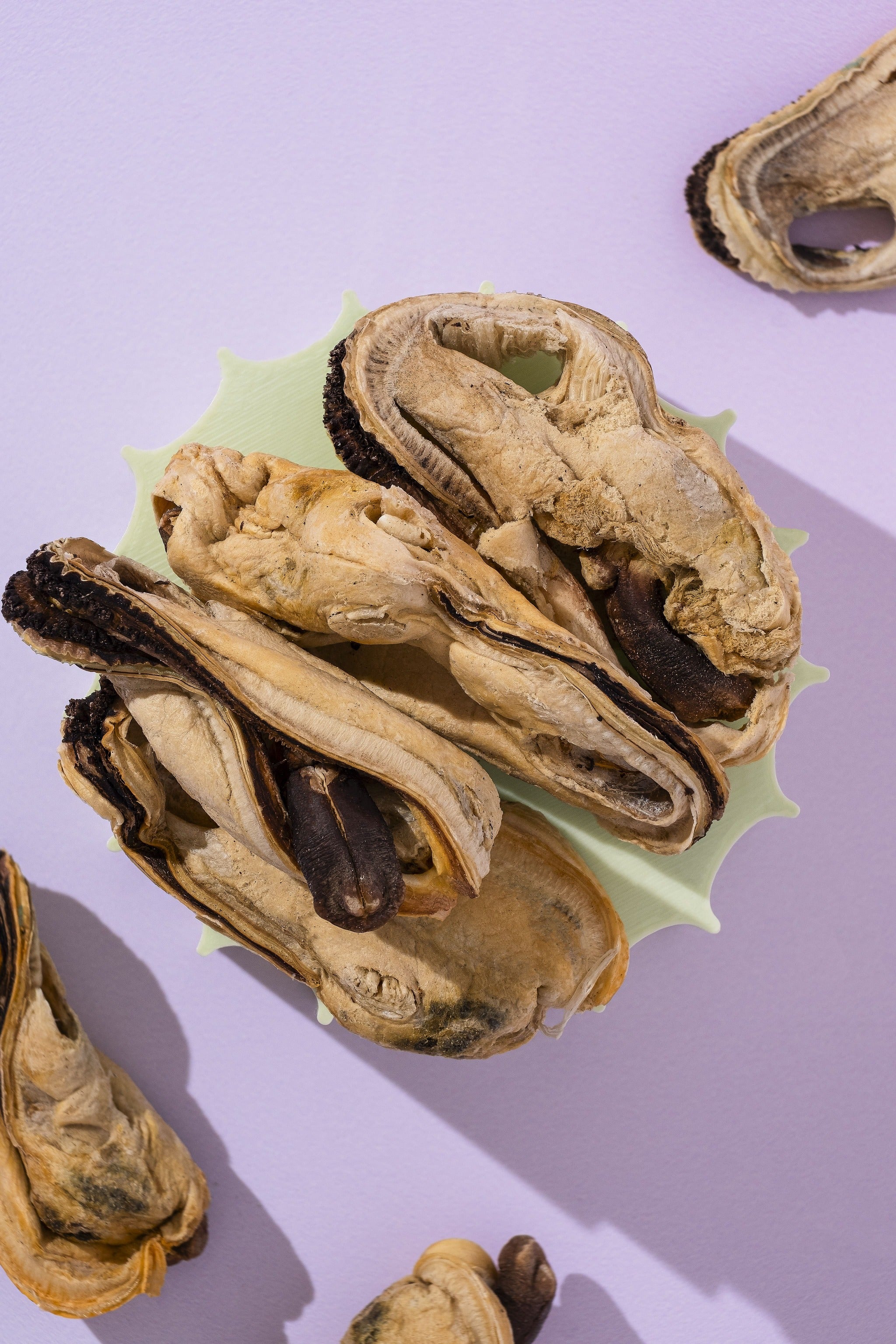 Green Lipped Mussels – Freeze-Dried Superfood Treats for Cats And