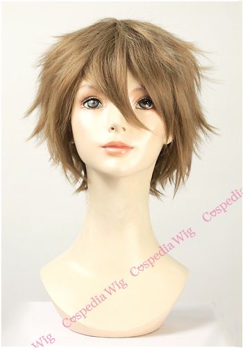 あんさんぶるスターズ! 高峯翠 風 ウィッグ 【カラー変更可】 あんさん