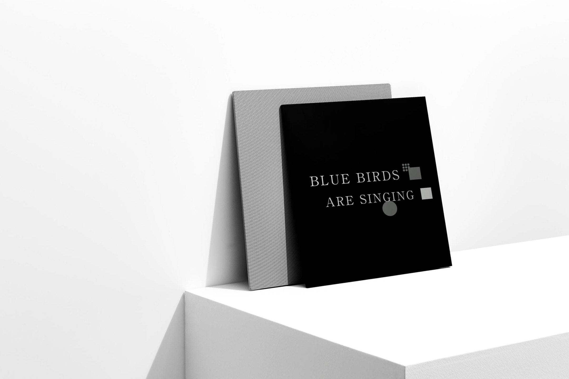 COTODAMA” SPEAKER CANVAS