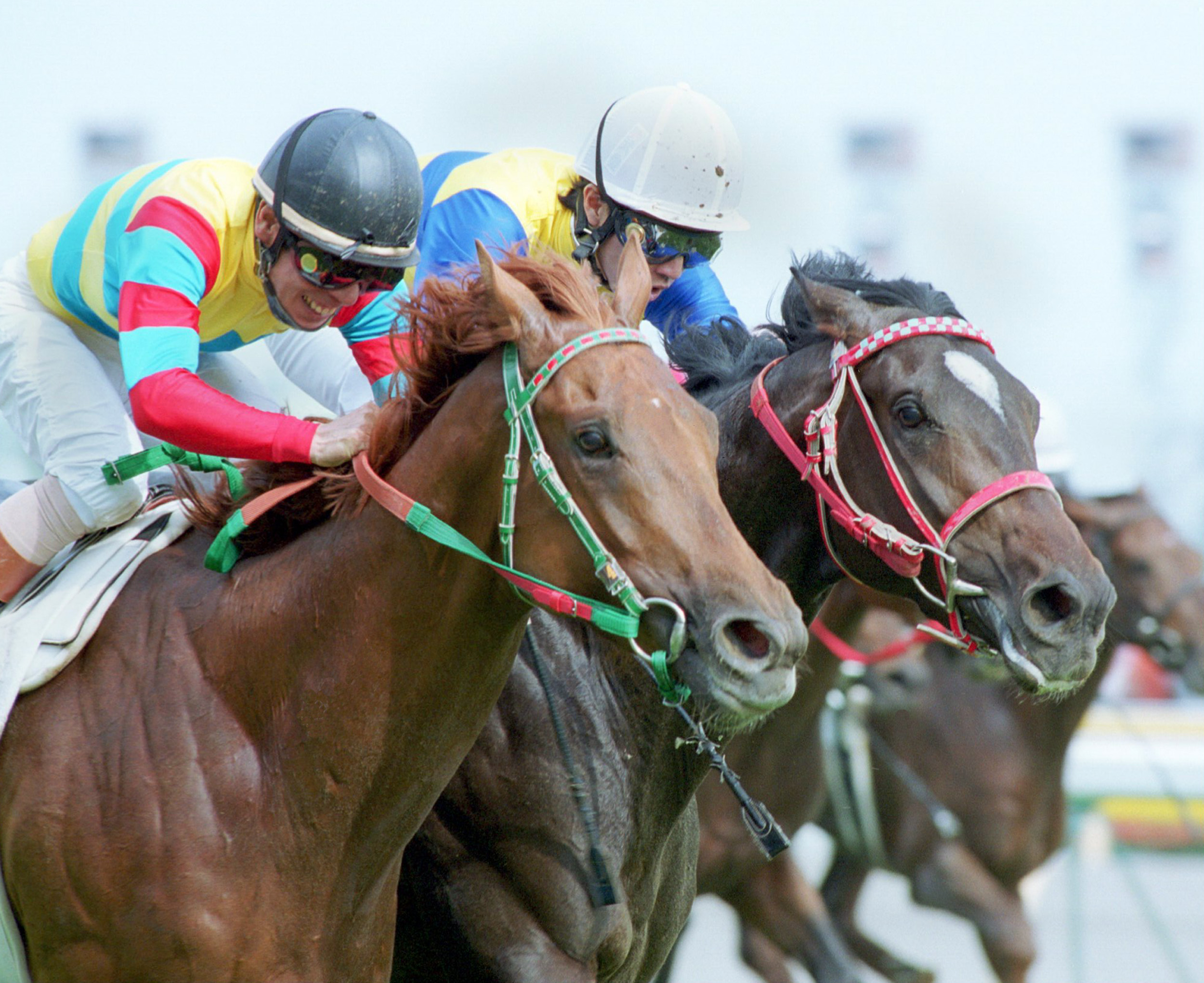 2000年の日本ダービー馬アグネスフライトが26歳で死す