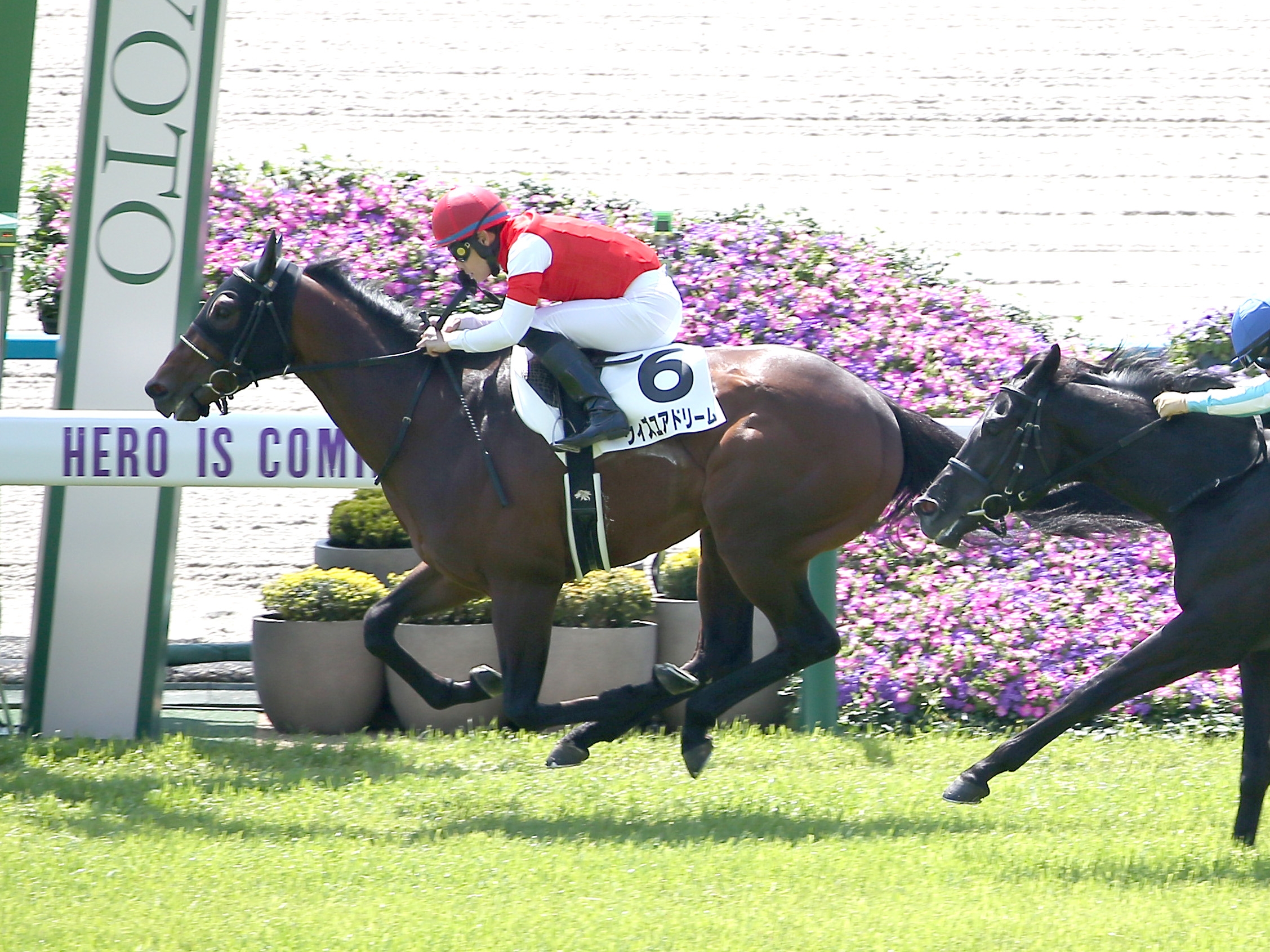 ヒロシのDeepな話】ディープインパクトの〝京都遺伝子〟新装コース