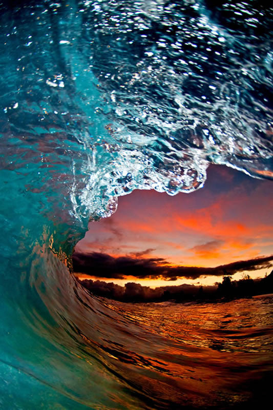 Hawaiian Show - Clark Little Photography