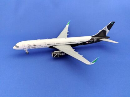 XX20362 JCWING Northern Pacific Airways / ノーザン・パシフィック