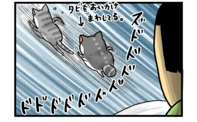 ブログ月間7000万PVのまめきちまめこ、猫マンガの描き方に転機？ 「二