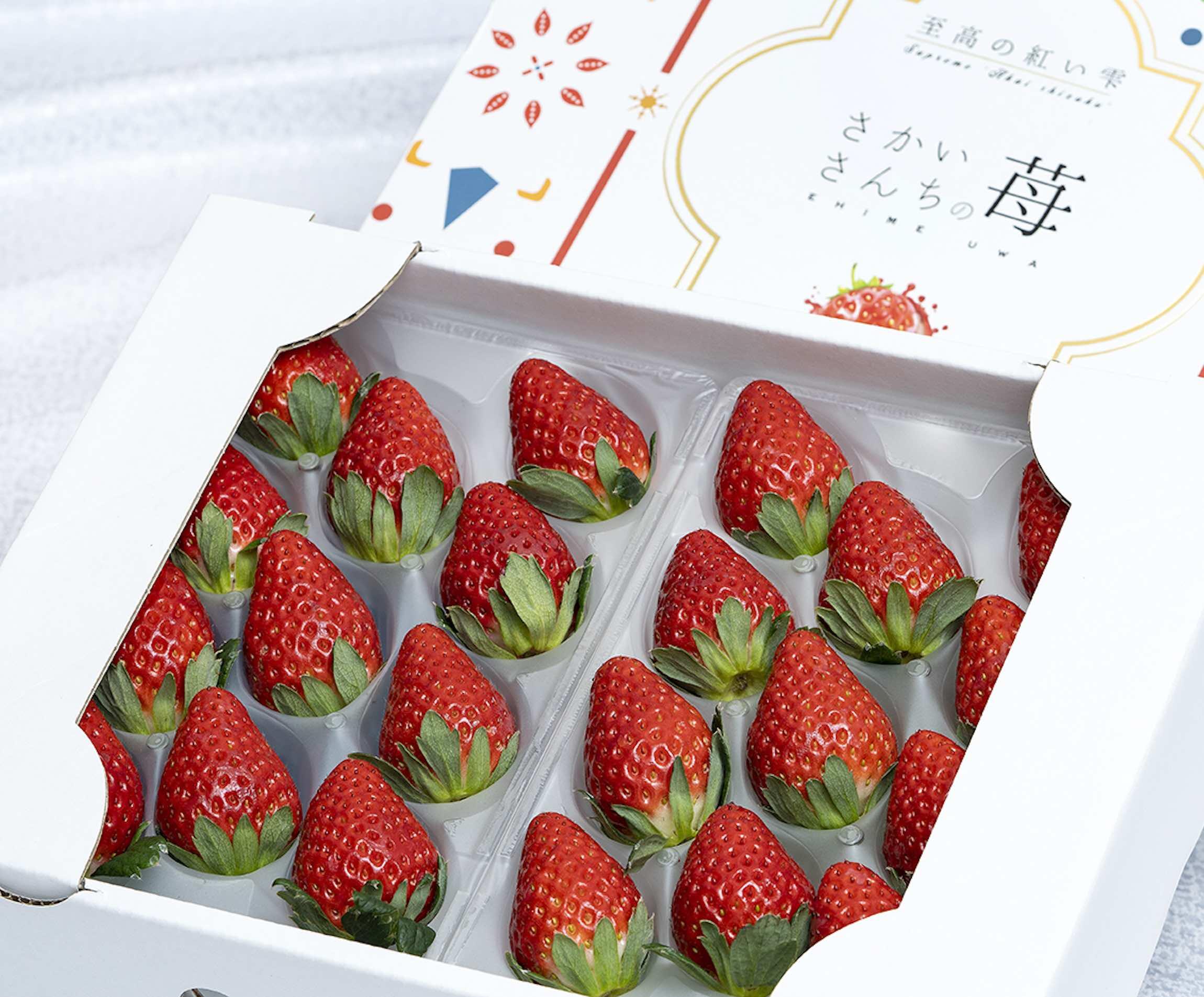 愛媛県オリジナルいちご「紅い雫（あかいしずく）」 | 美味食材を買う