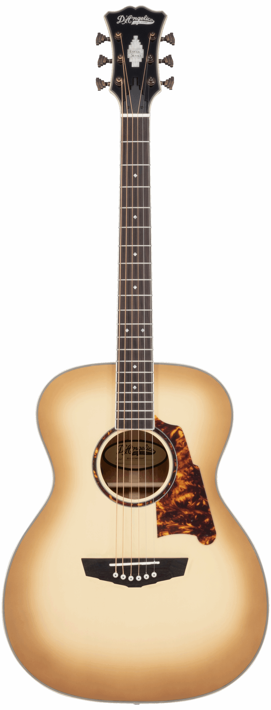 Excel Tammany - D'Angelico Guitars