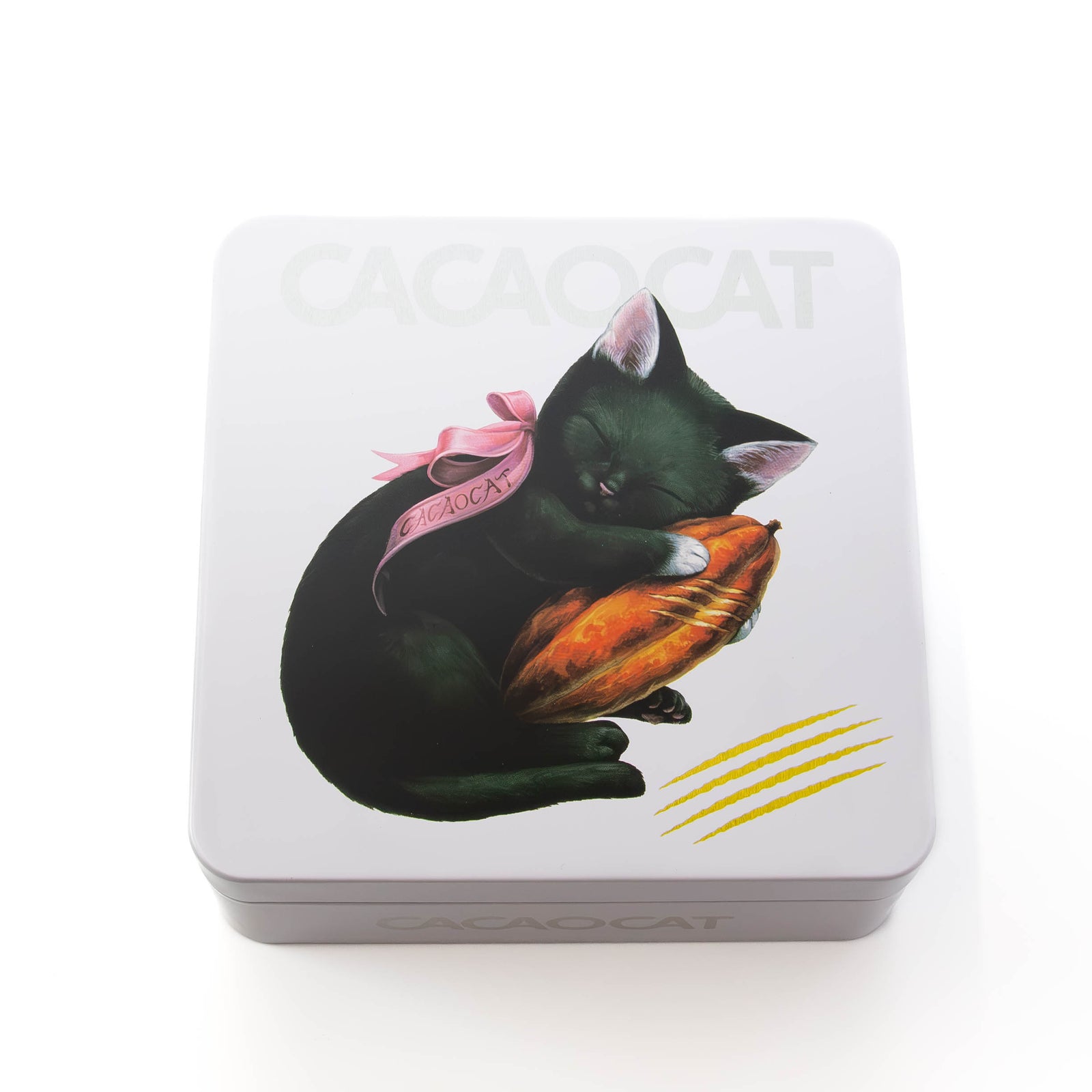 2026年 カレンダーセット CACAOPOD ｜DADACA Online Store