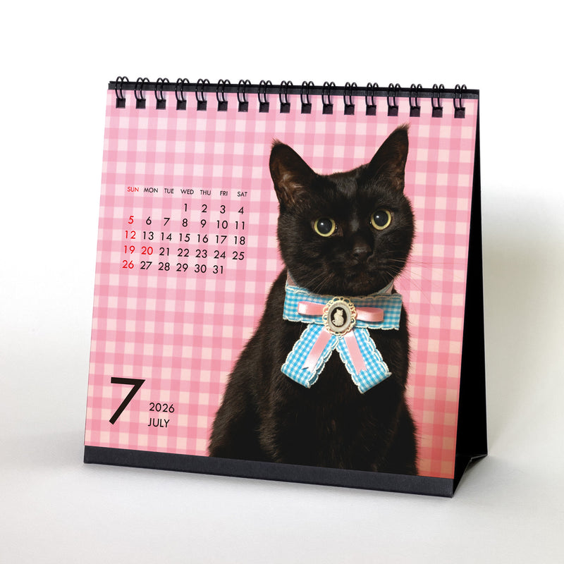 2026年 カレンダーセット CAT ｜DADACA Online Store