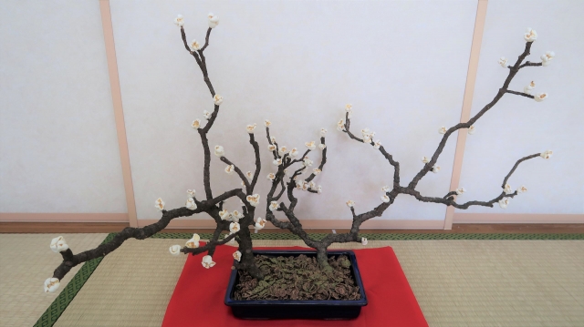 ポップコーンで枯れ木に花を咲かせましょう！ :: デイリーポータルZ