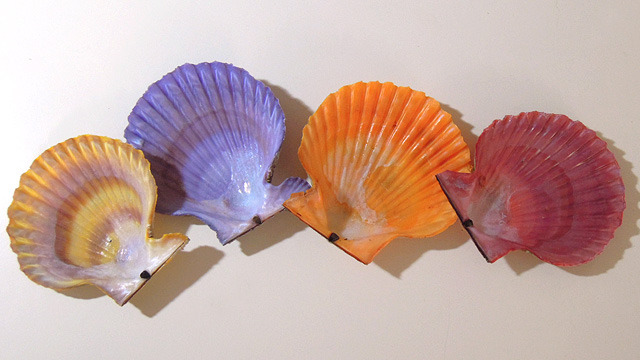 コンビニの貝柱の貝、貝殻がめちゃめちゃカラフル :: デイリーポータルZ