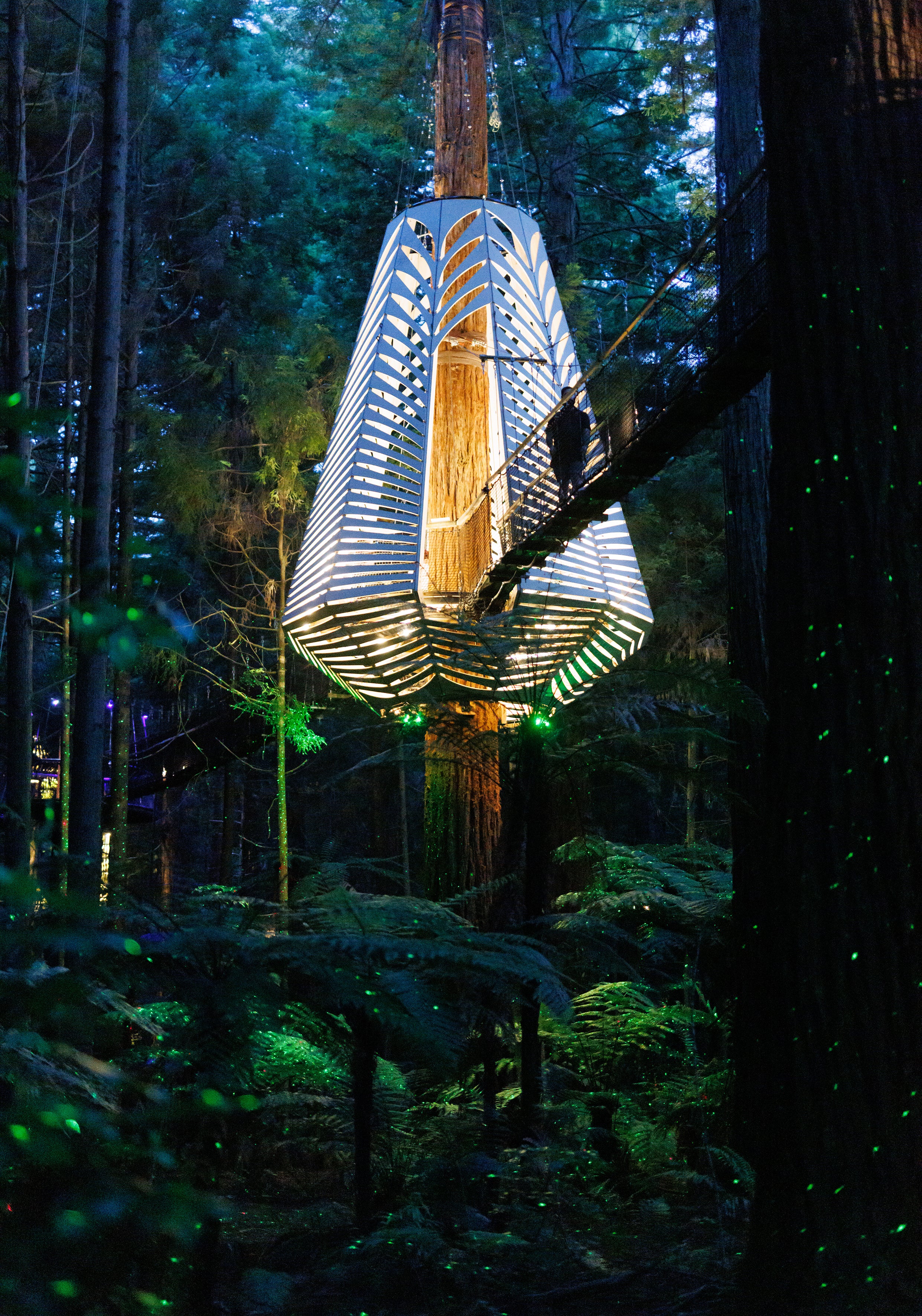 Horoeka_009.jpg?v=1726529200