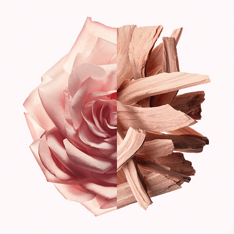 イレジスティブル オーデパルファム ヌード ベルベット 35mL