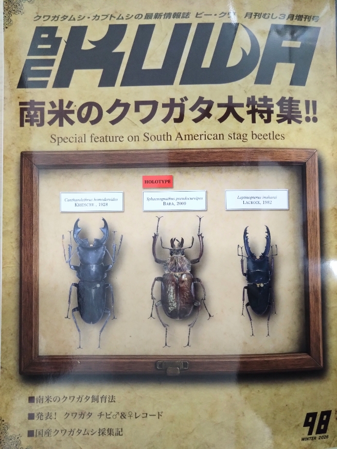 BE-KUWAシリーズ | Dorcusfarm