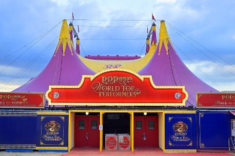 ポップサーカスが東大阪に】9月20日開幕！スリルと感動が味わえる世界