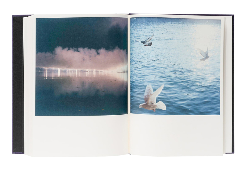 Illuminance: The Tenth Anniversary Edition - 川内倫子 | shashasha