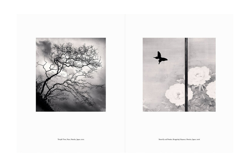 Japan | A Love Story - マイケル・ケンナ | shashasha 写々者 - 写真