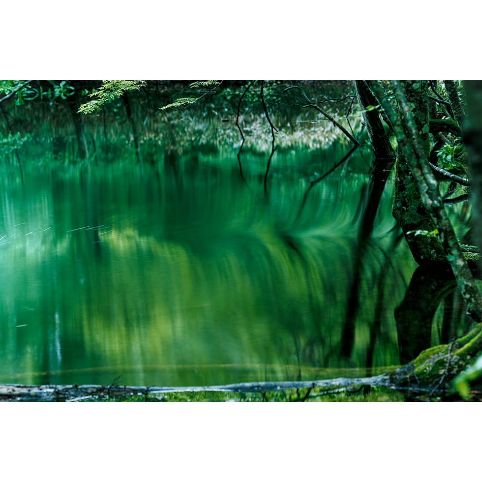 UESHIMA MUSEUM COLLECTION