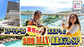 ホテル DVD シーズン1.2.3後編.ハワイ.マウイ 全24巻 ホテル DVD