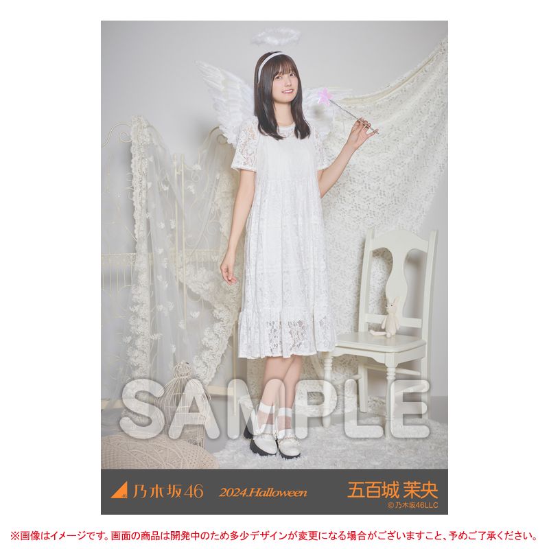 乃木坂46 OFFICIAL WEB SHOP | 乃木坂46 グッズ通販サイト