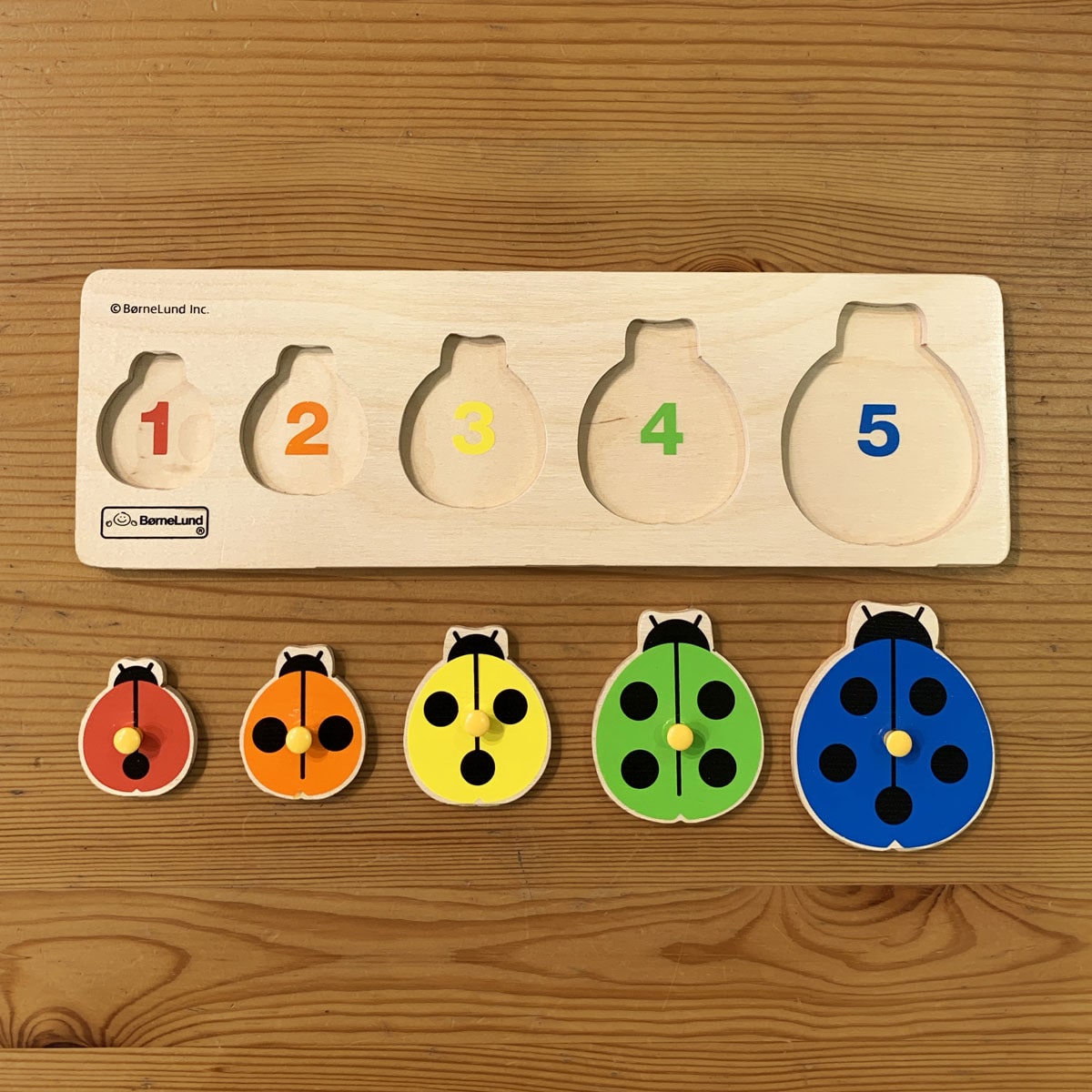 ファーストピックアップパズル てんとう虫: バリエーション表示