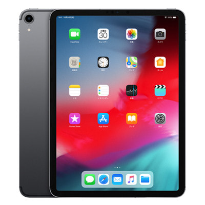 Apple iPad pro 11インチ 第一世代 本体 周辺機器付き Apple iPad pro