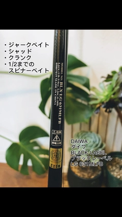 DAIWA 19ブラックレーベル LG 631MLFBの最安値・インプレ・釣果 | 本音
