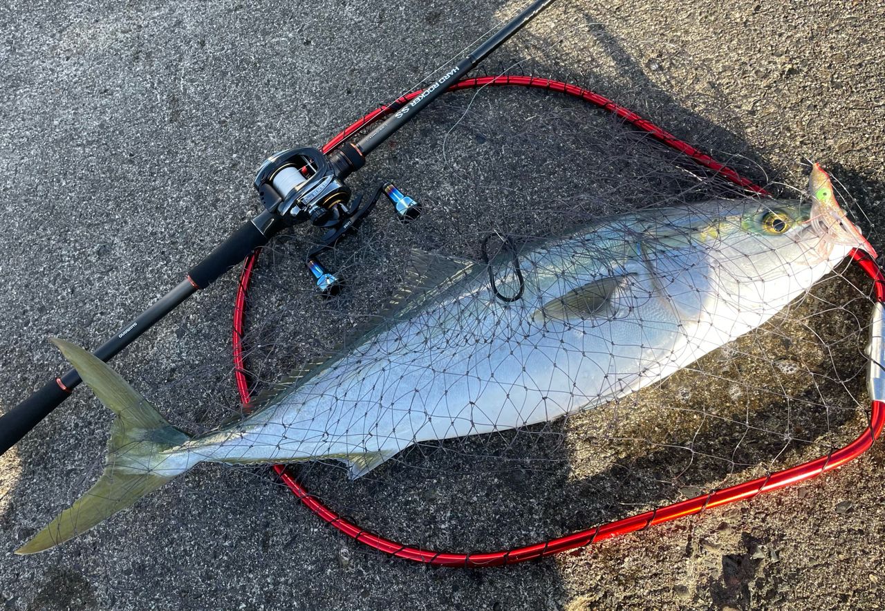 SHIMANO 22ハードロッカー SS B810MH+の最安値・インプレ・釣果 | 本音