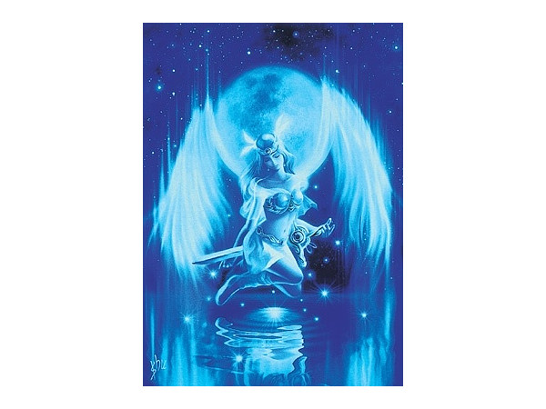 ジグソーパズル ワルキューレ 500ピース (53cm x 38cm) | HLJ.co.jp