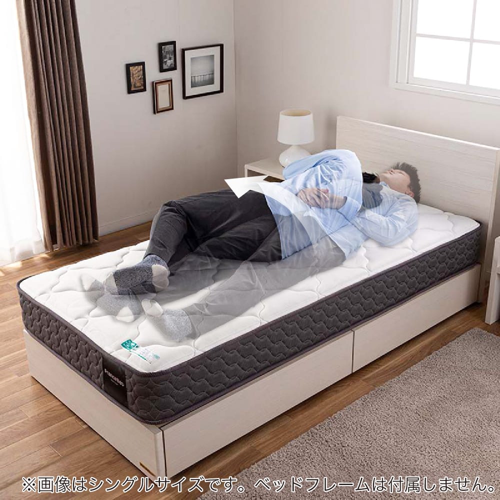 フランスベッド] シングルマットレス ハイジェニック ソフト(シングル