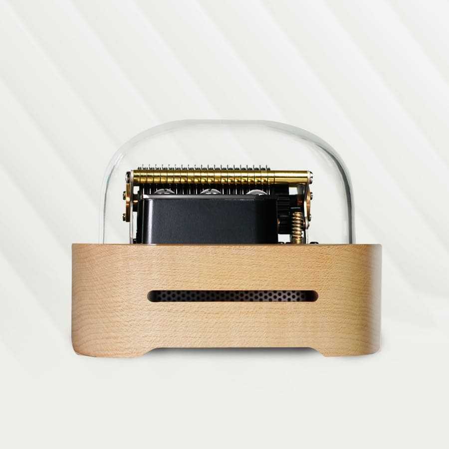 Muro Box-N20 Lite | Play Unlimited Melodies You Love on a