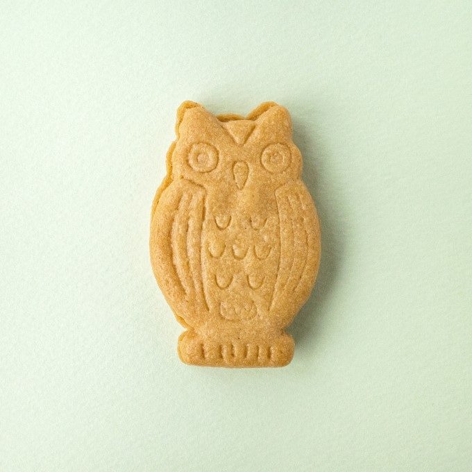 無表情ならではの存在感。老舗洋菓子店・巴裡 小川軒の「ふくろう