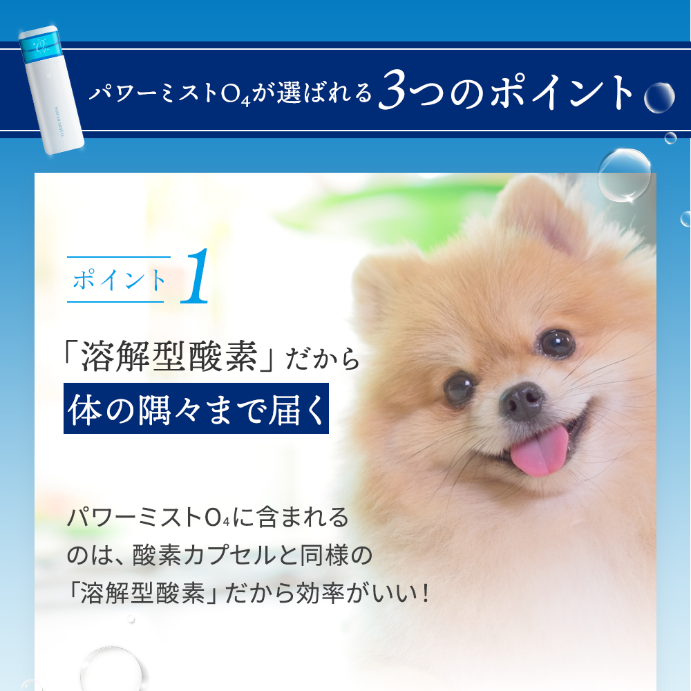 パワーミストO4｜ペットスタンス ドッグスタンス キャットスタンス