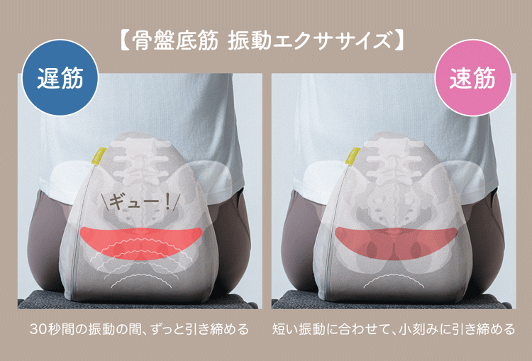 ハーモット ペルモント | 【公式】プロイデアオンラインショップ