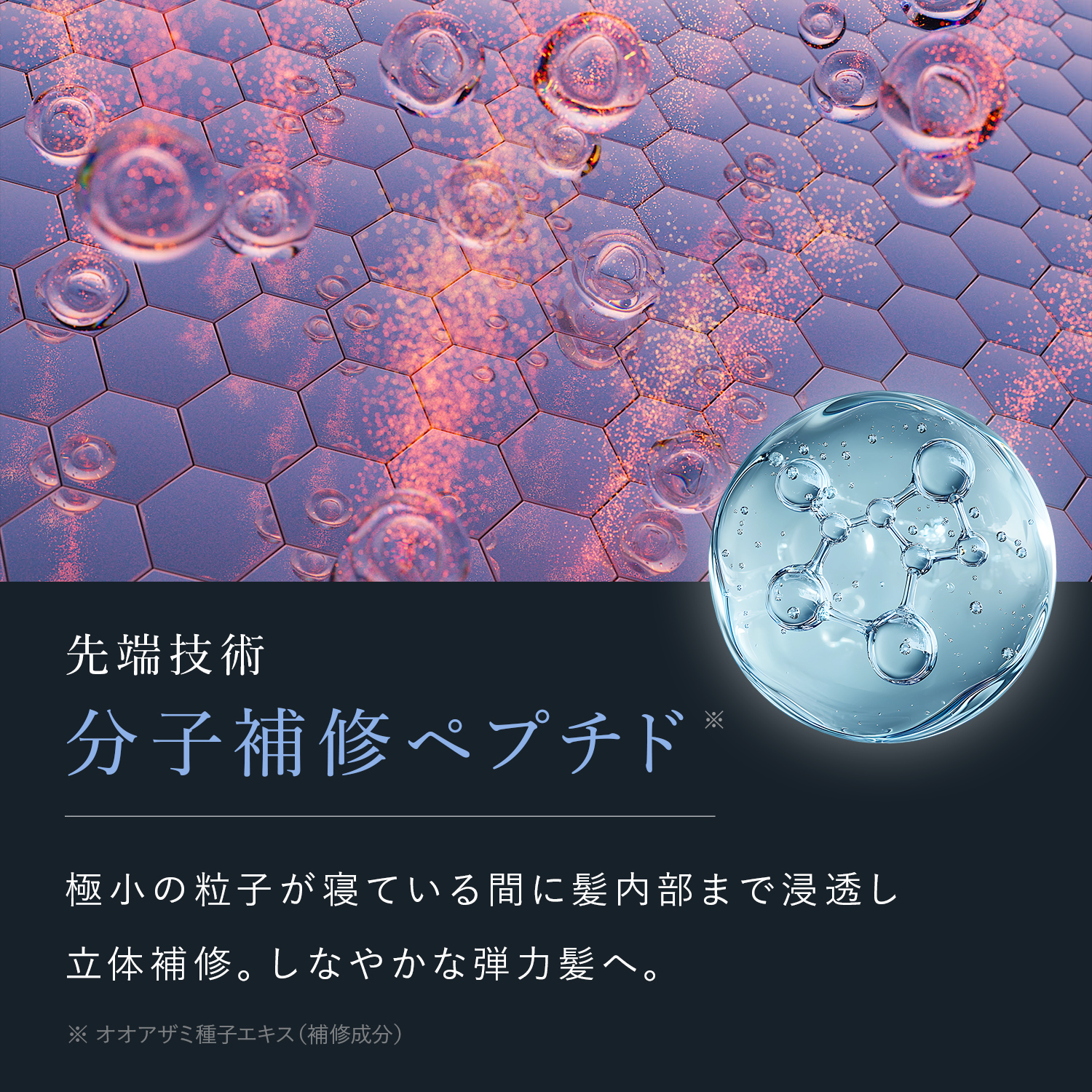 公式】CLUB MEDULLA