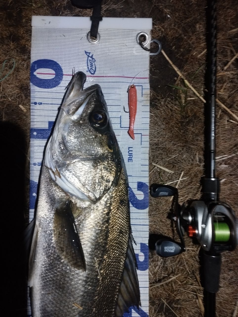 SHIMANO 18ディアルーナ B96Mの最安値・インプレ・釣果 | 本音の口コミ