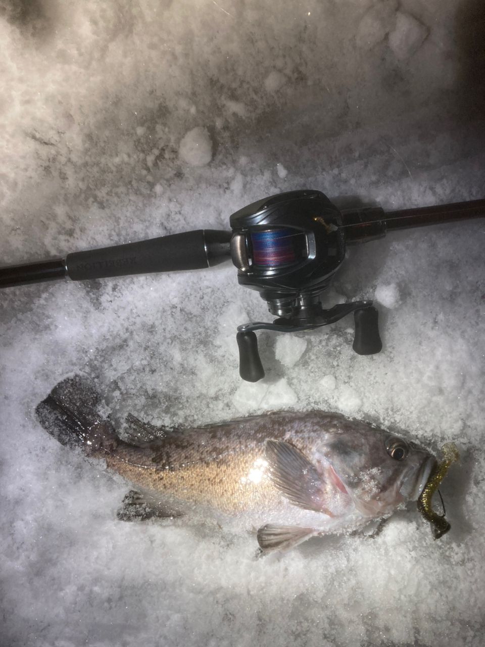 DAIWA 20リベリオン（センターカット2ピース スピニングモデル