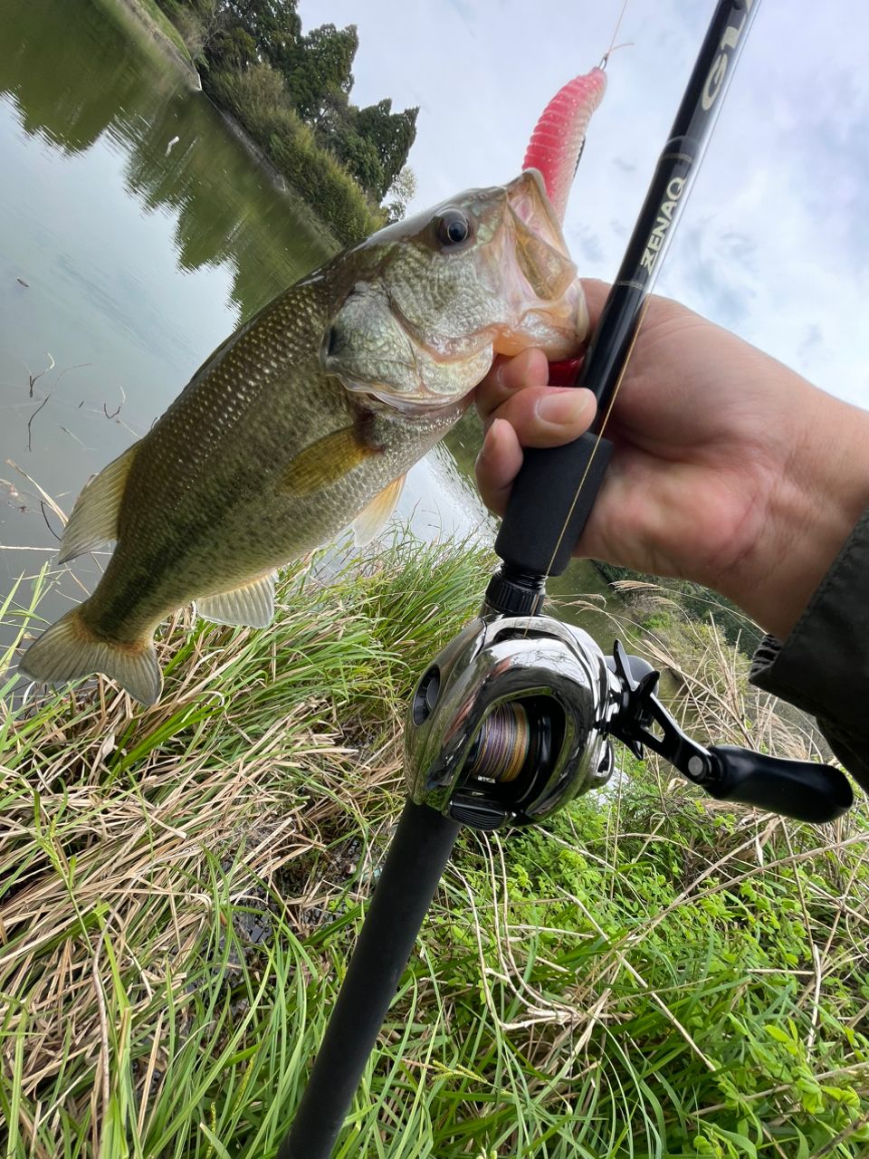 ZENAQ グランツ B73Circularの最安値・インプレ・釣果 | 本音の口コミ