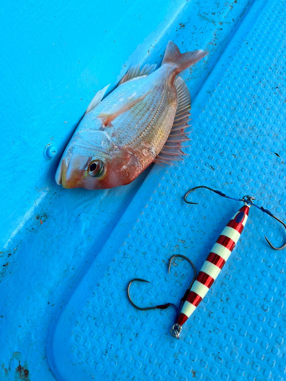 SHIMANO 18オシアジガー ∞ (インフィニティ) モーティブ B610-3の最