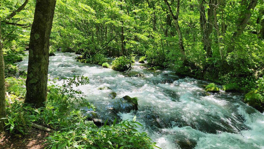 青森最強】奥入瀬渓流で往復24キロずっと水と並行して走れる致死量の