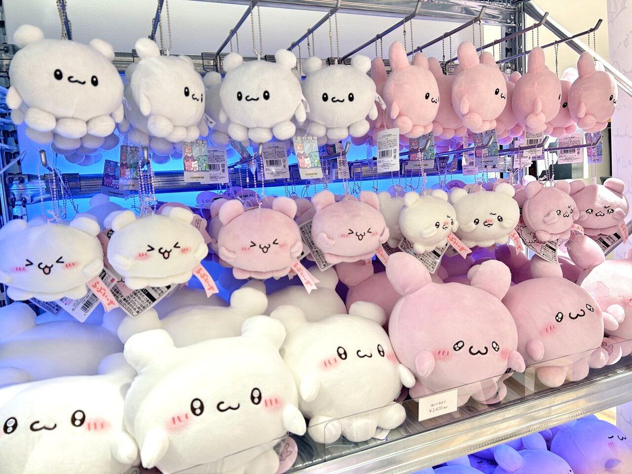 SNSで総フォロワー150万人越え らぶいーずのポップアップストアにいっ