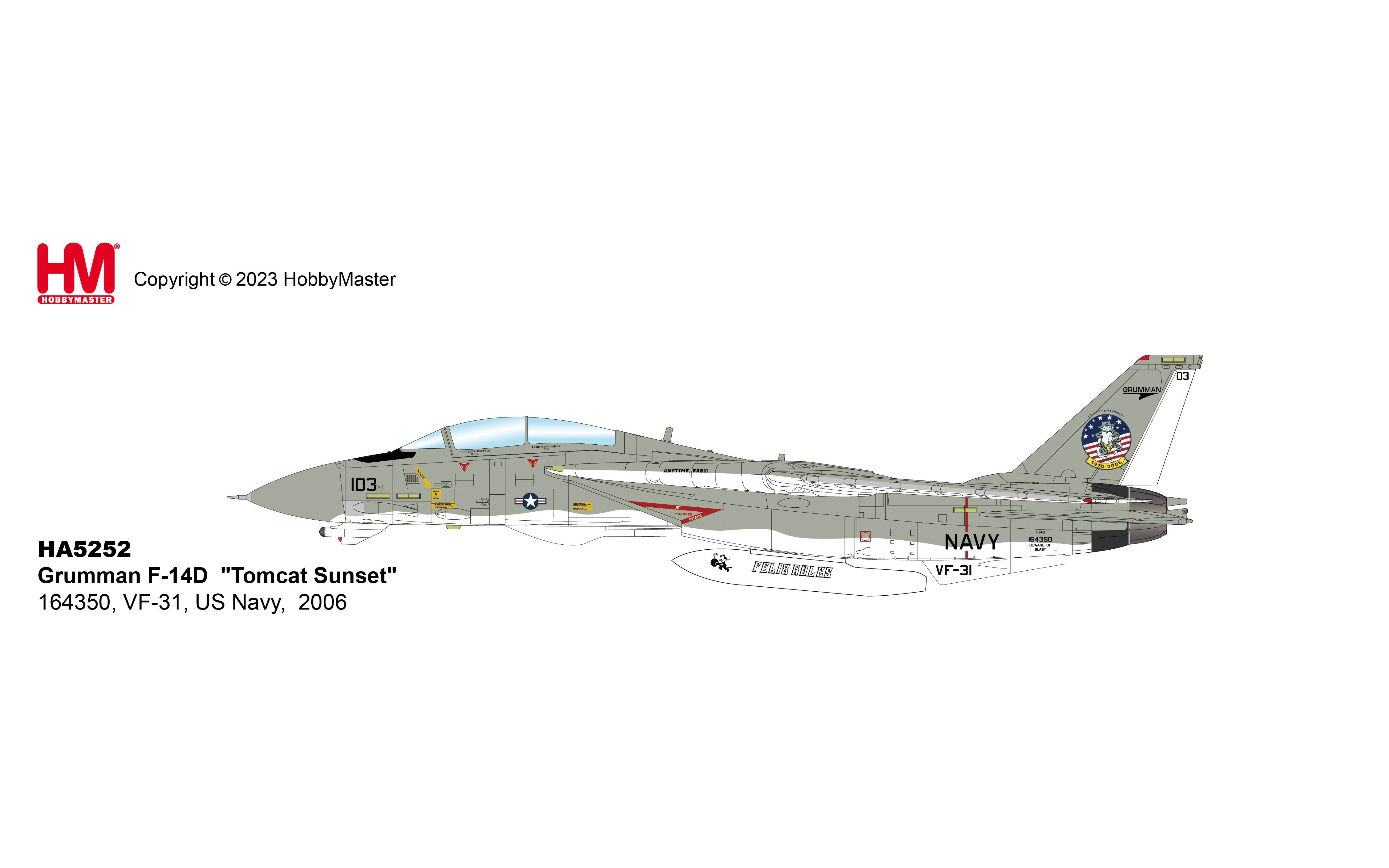 Grumman F-14D, Tomcat Sunset,164350, VF-31, US Navy, 2006 - Hobby