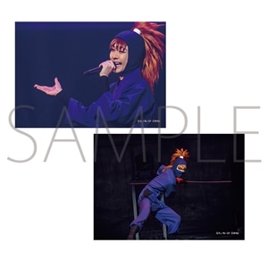 商品検索ミュージカル 忍たま乱太郎｜ムービック（movic）