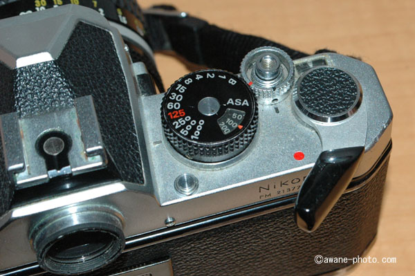 Nikon New FM2」がやってきた～撮影日記